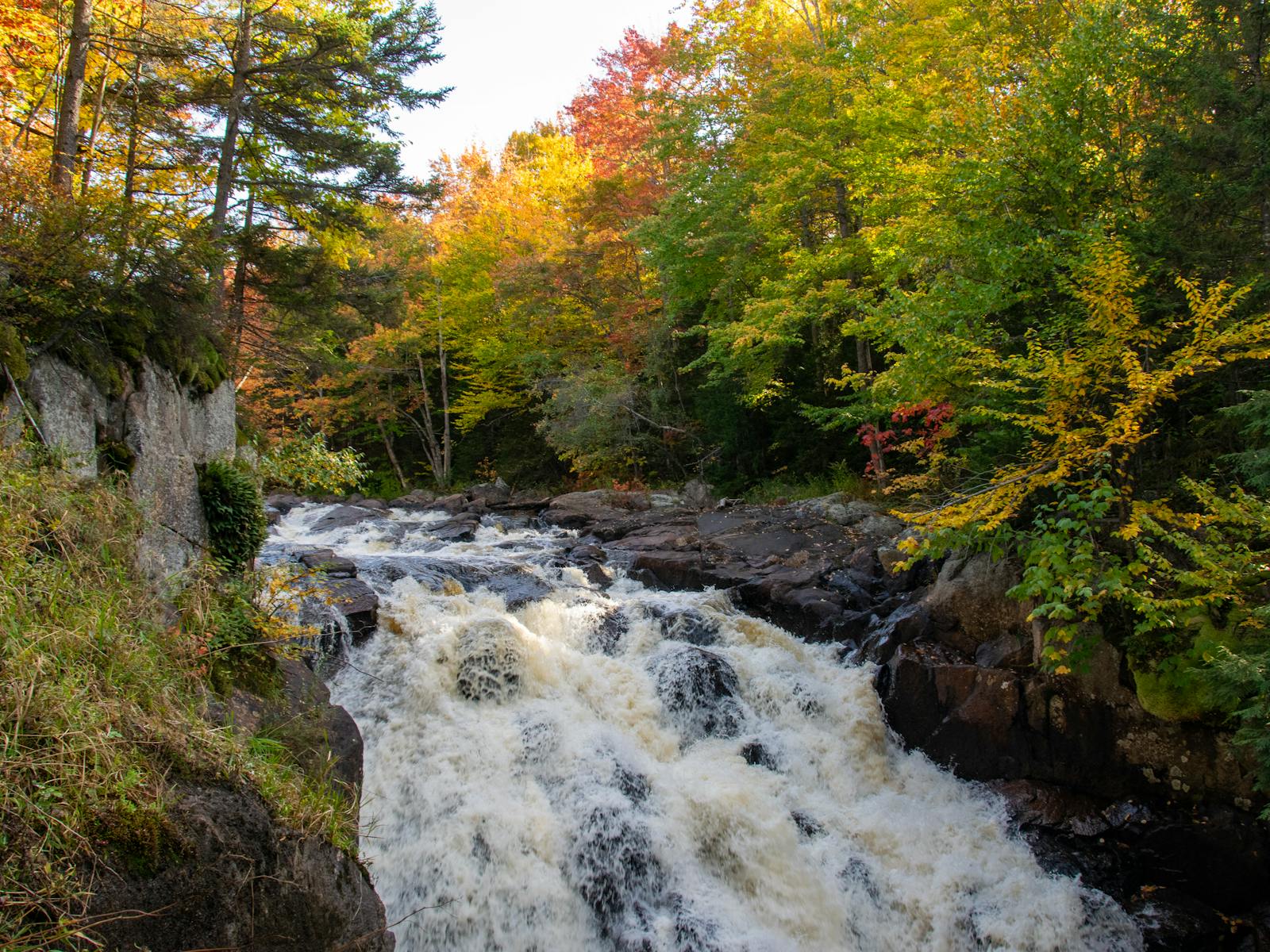 Autumn waterfall in a Catskills forest