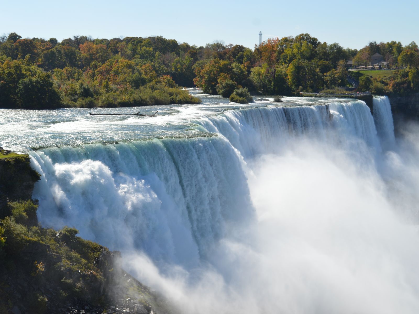 Niagara Falls cascading beside autumn trees