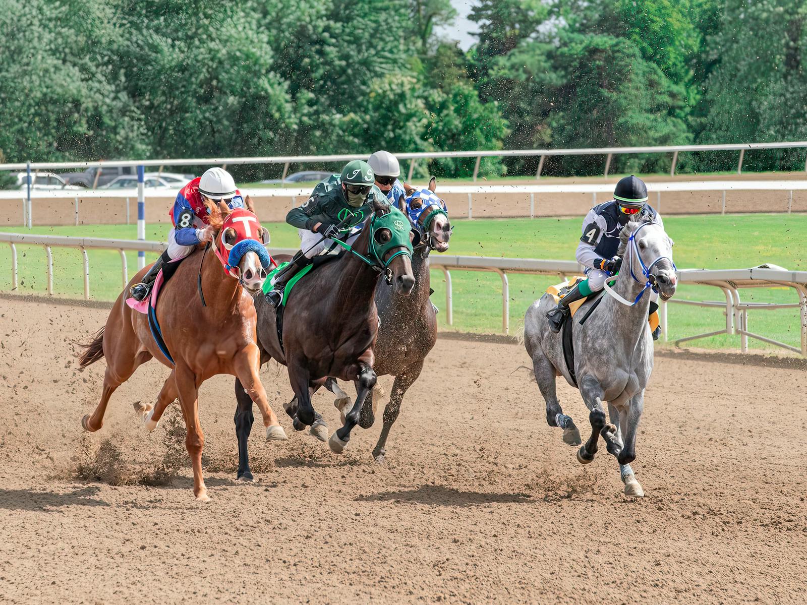 Horses racing on a dirt track for Saratoga race-weekend planning context